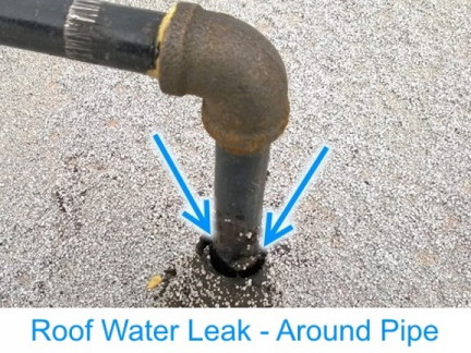 ACE Inspectors finds Roof Water Leak
